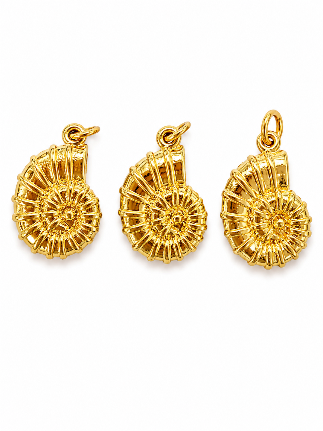 Shell Charm
