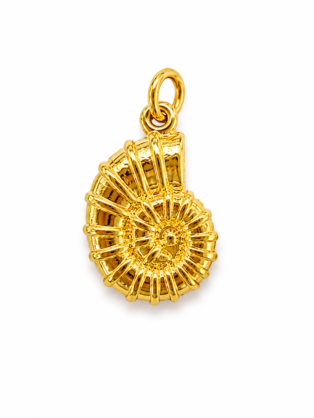 Shell Charm