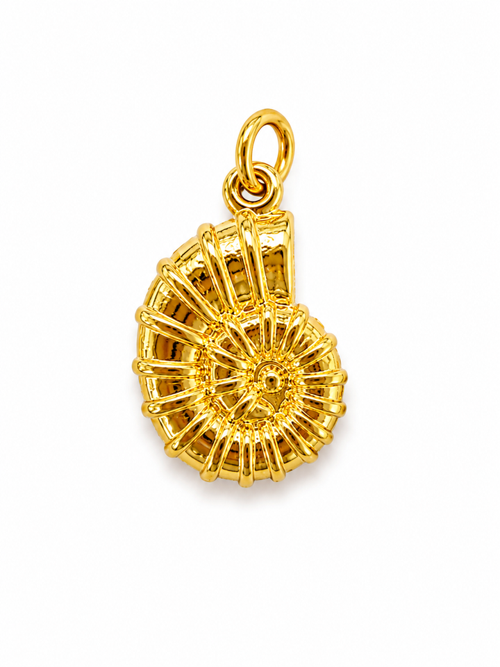 Shell Charm