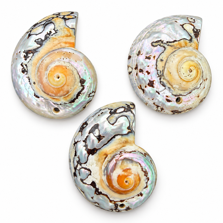 Abalone Pendant