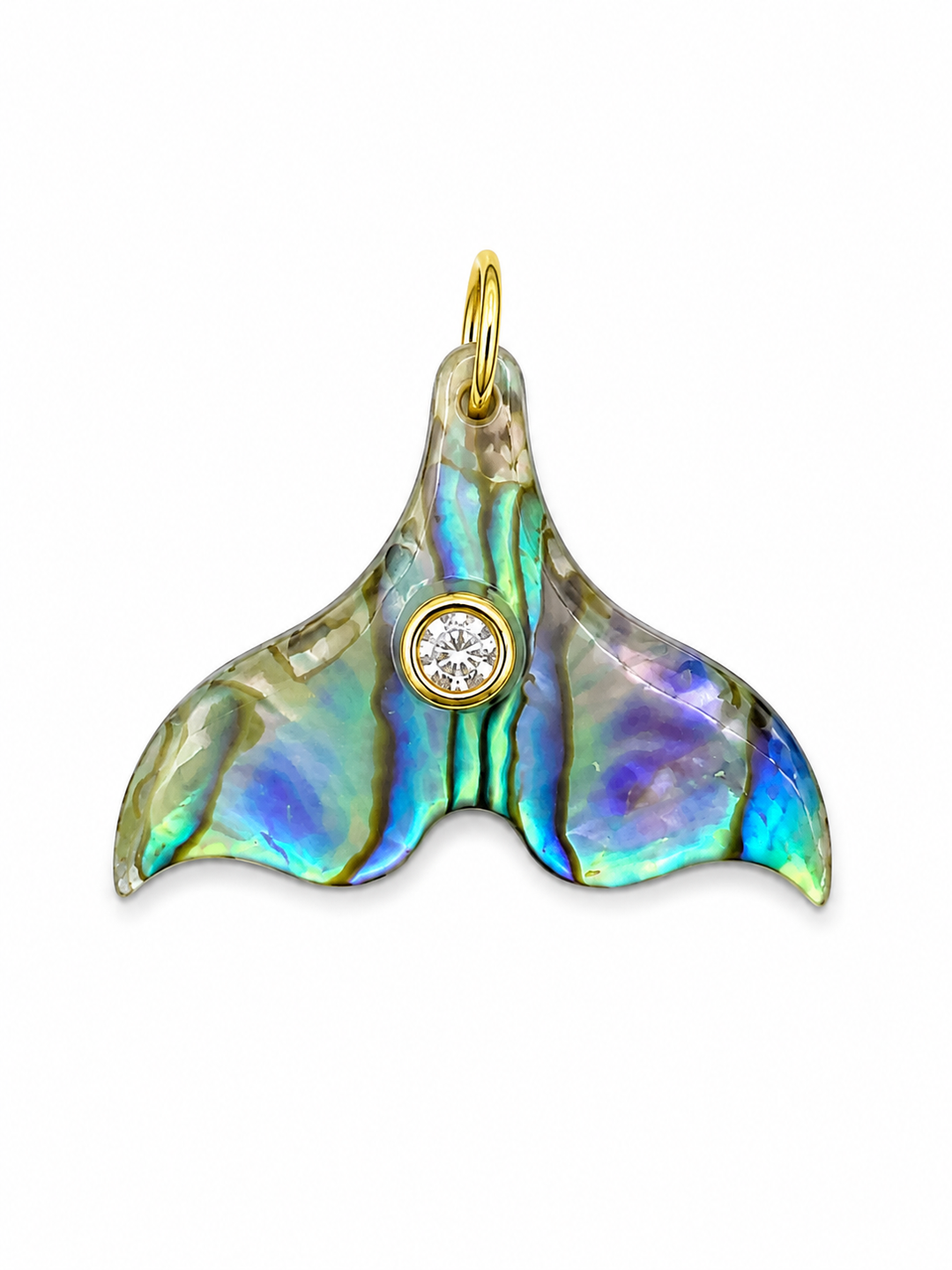 Abalone Tail Charm