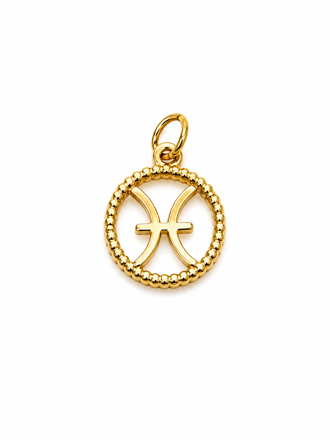 Zodiac Signs Charm