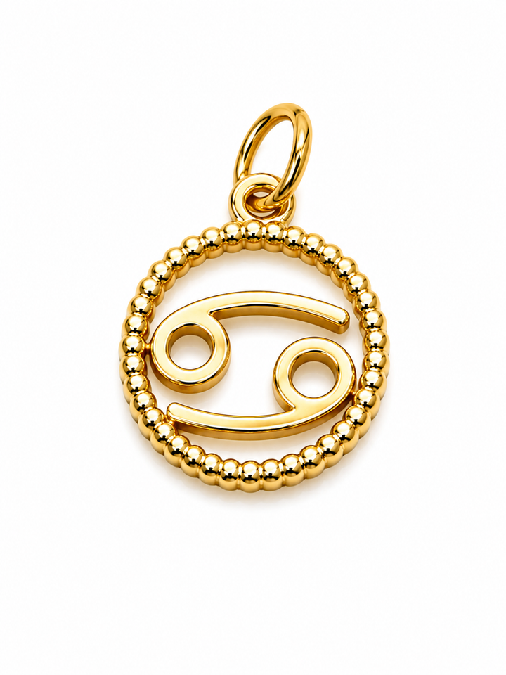 Zodiac Signs Charm