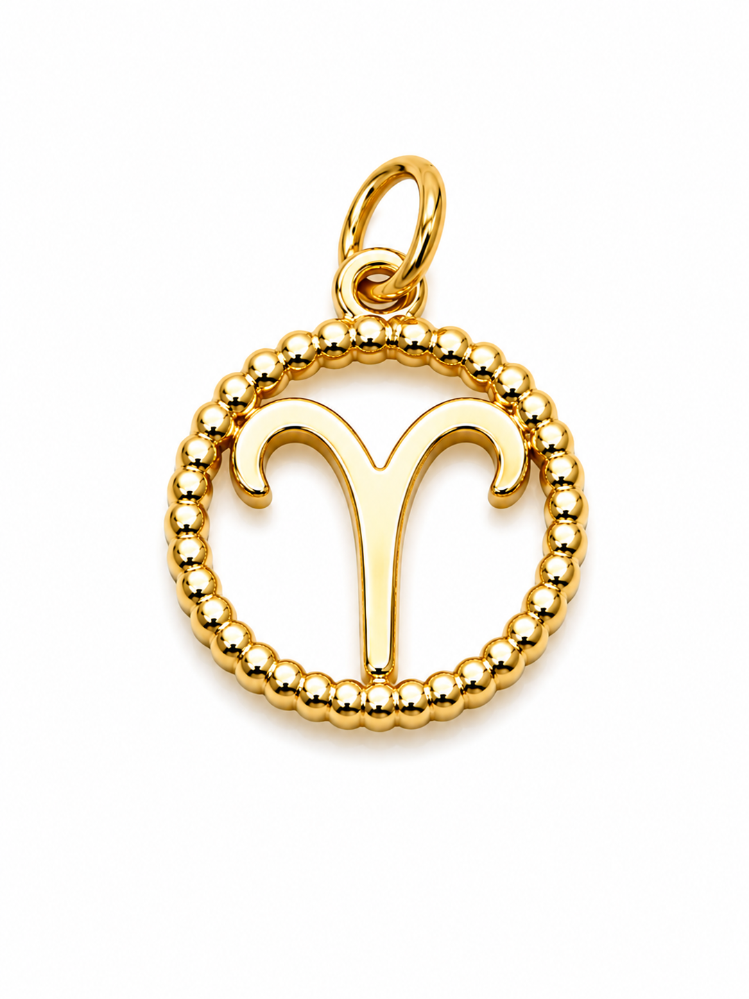 Zodiac Signs Charm