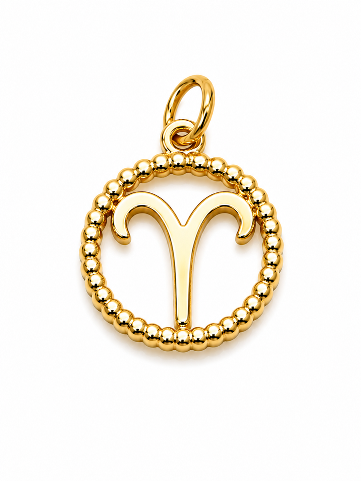 Zodiac Signs Charm