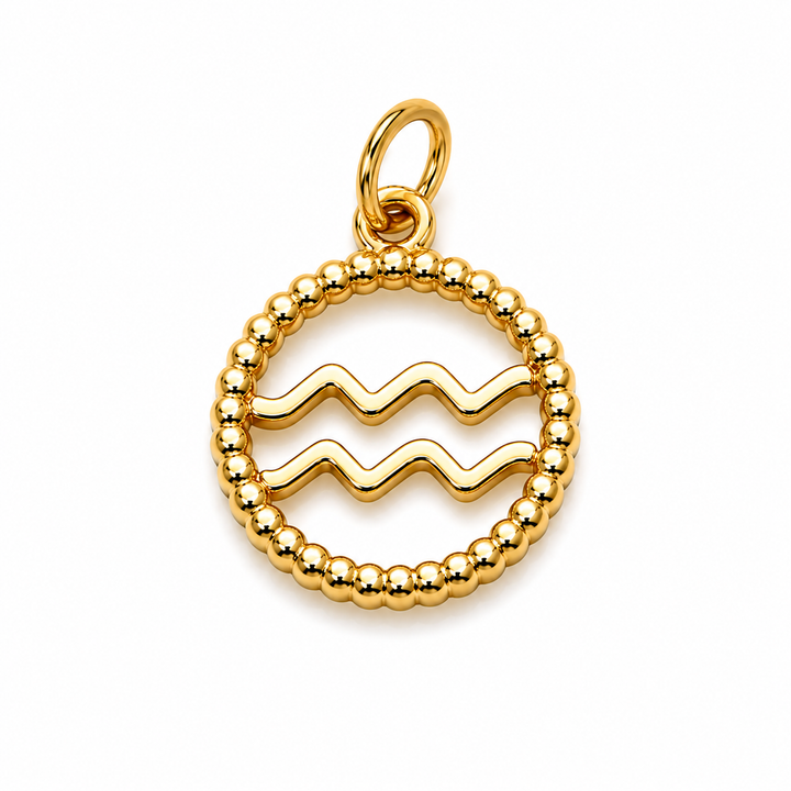 Zodiac Signs Charm