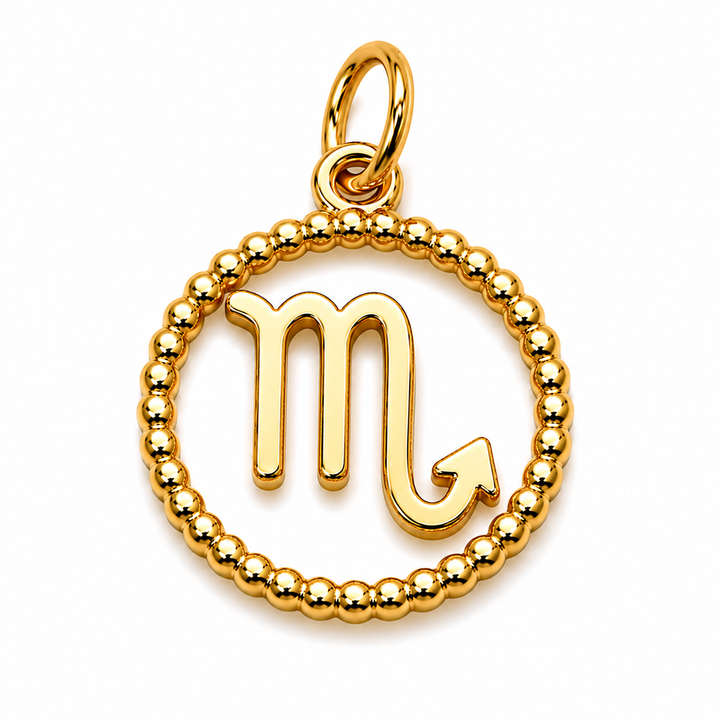 Zodiac Signs Charm