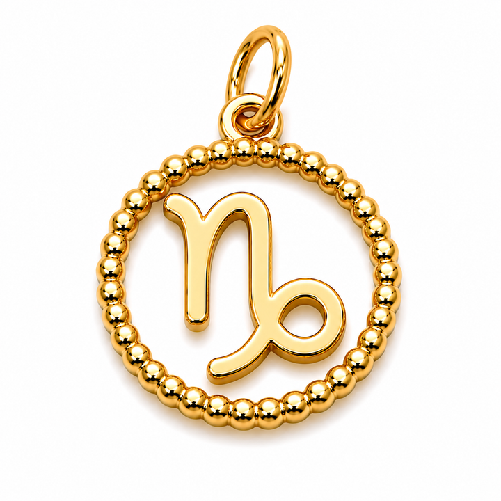 Zodiac Signs Charm