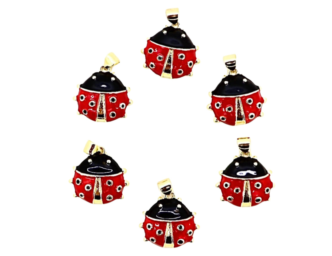 Ladybug Charm