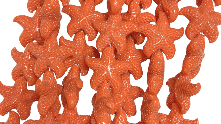 Starfish Strand