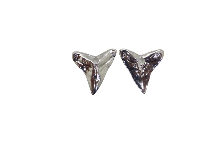 Shark Tooth Pendant