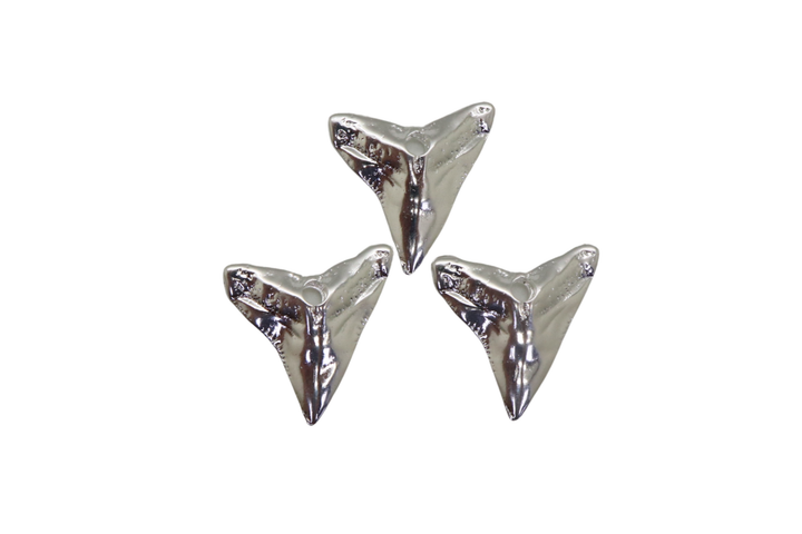 Shark Tooth Pendant